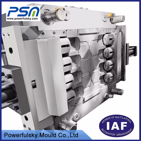 전자 부품/자동차 부품/엔진 부품/식품 포장/플라스틱 병용 고객 디자인 플라스틱 사출 금형